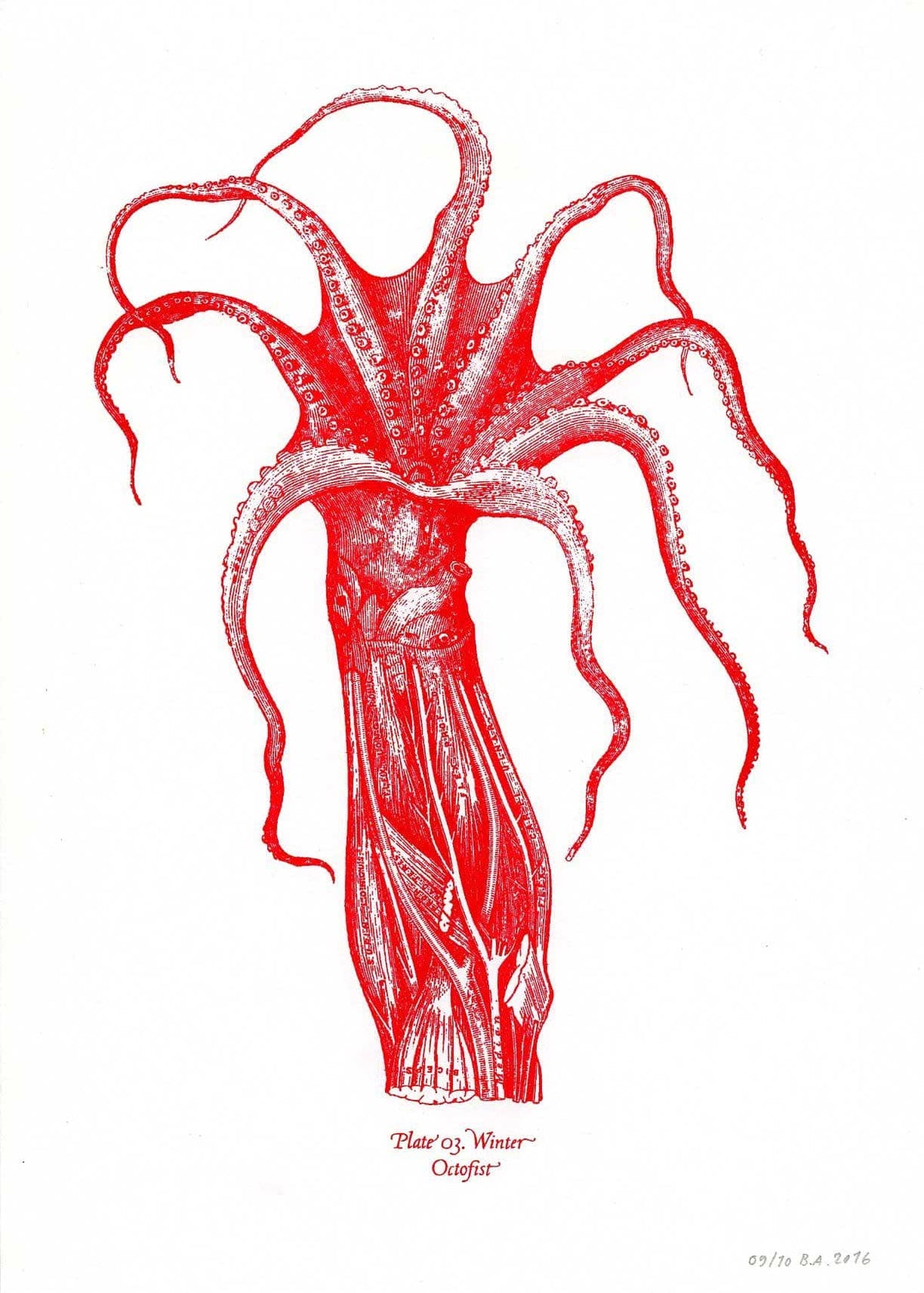 'Octofist', 2016 - The Forumist