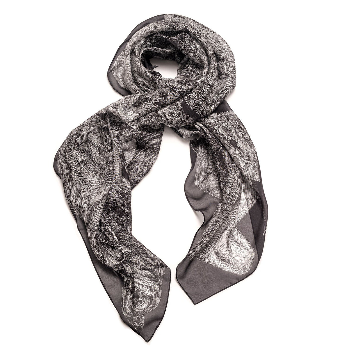 Sleeping Dogs - Oversized Silk Chiffon Scarf - The Forumist