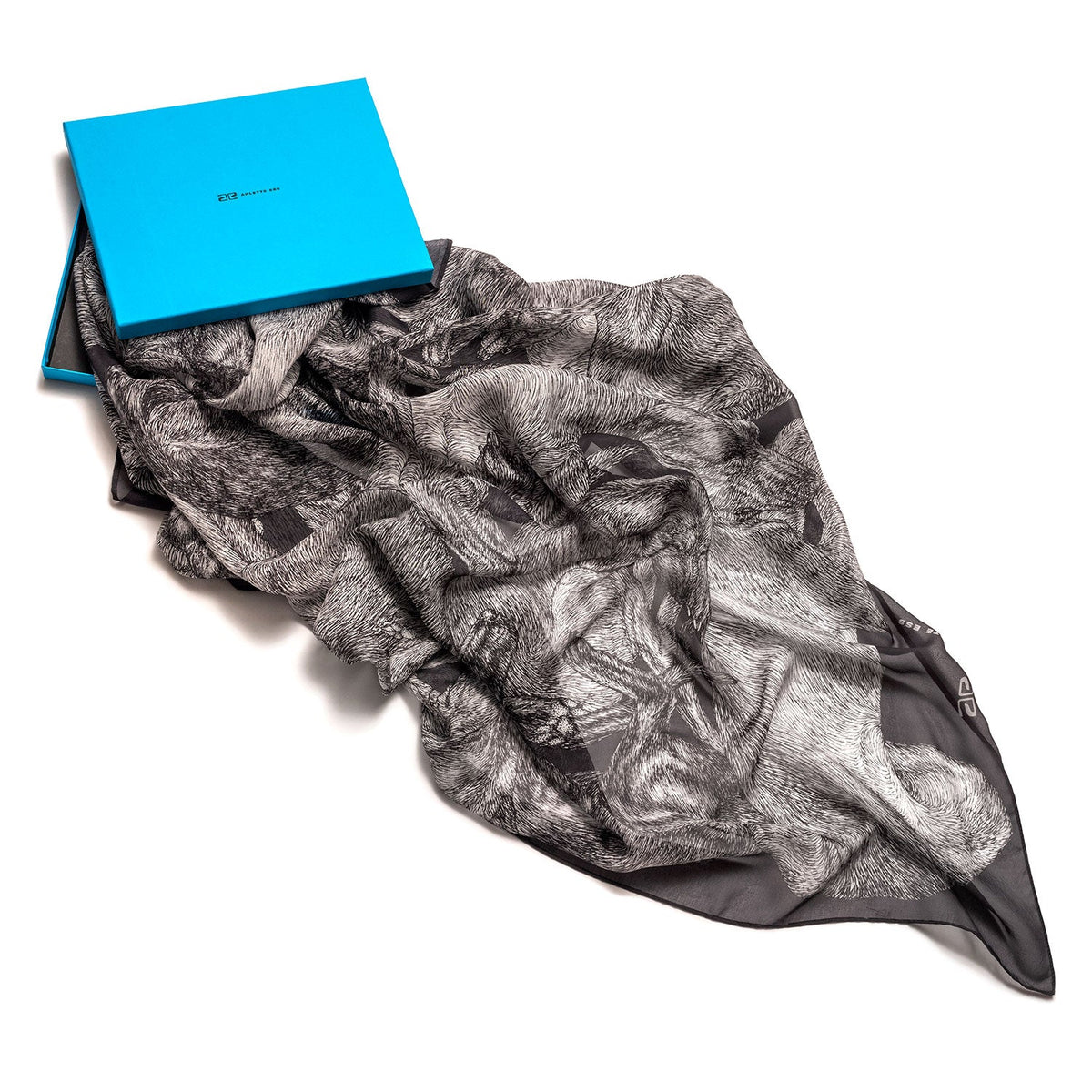 Sleeping Dogs - Oversized Silk Chiffon Scarf - The Forumist