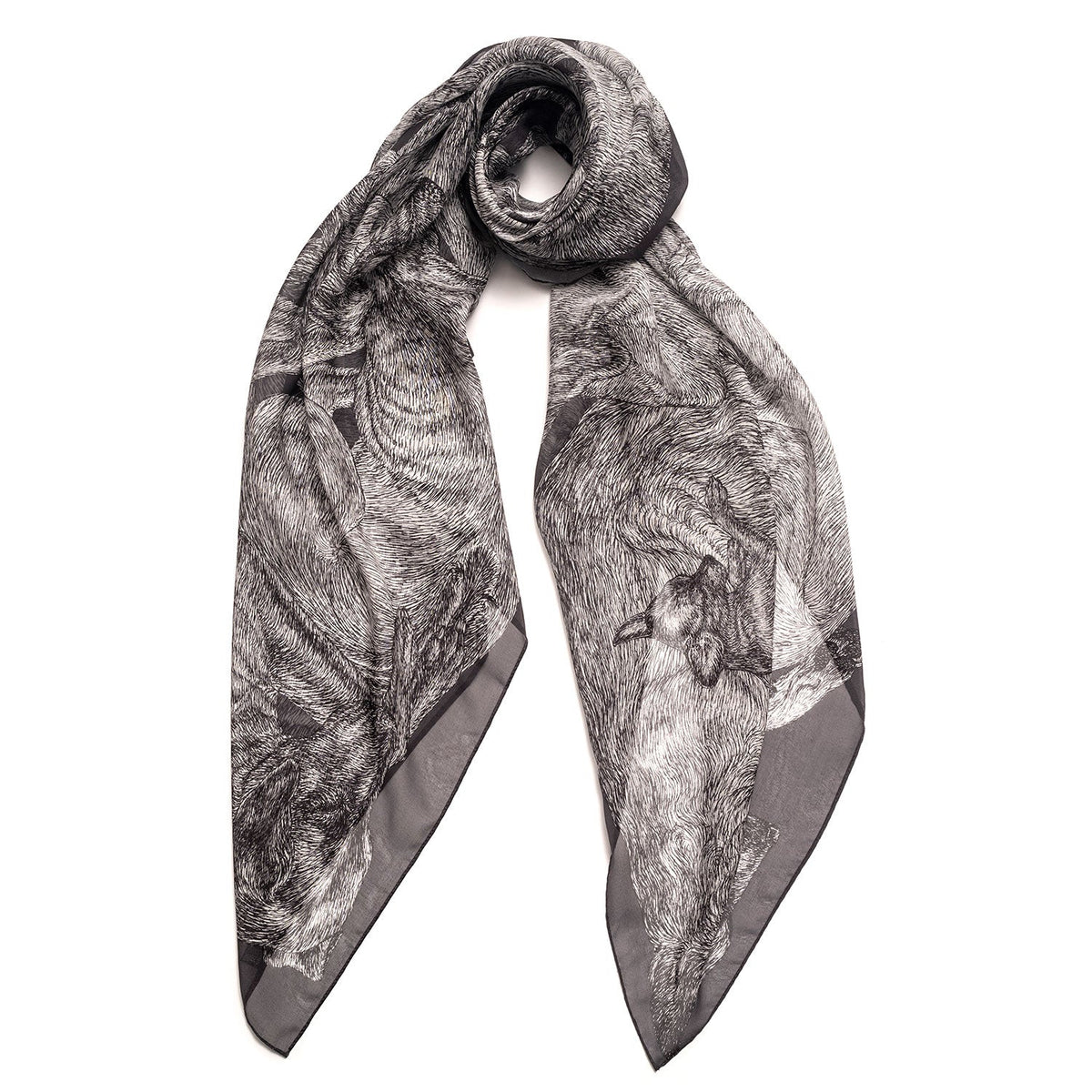 Sleeping Dogs - Oversized Silk Chiffon Scarf - The Forumist